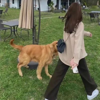 牧童与公主