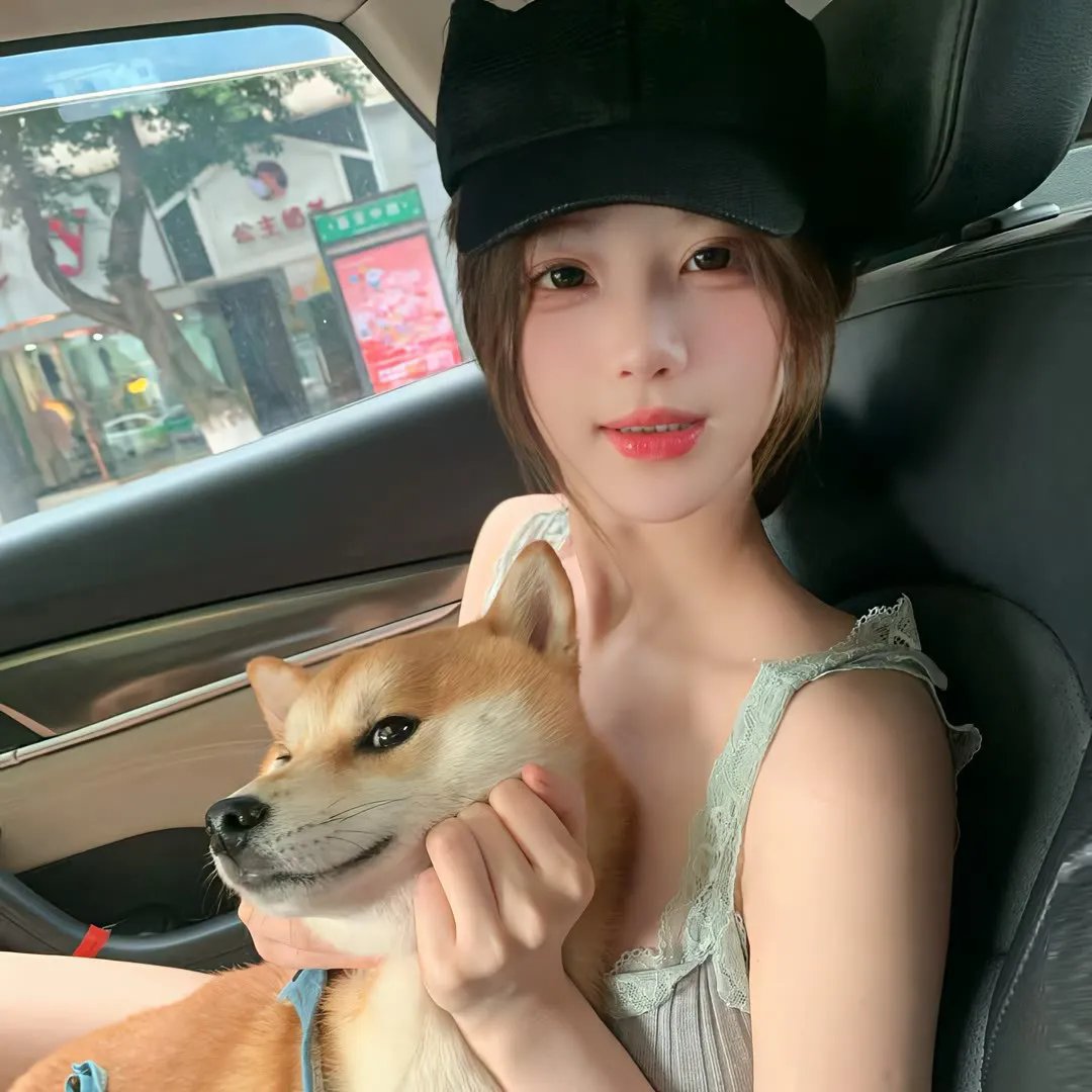 老虎与妙贼